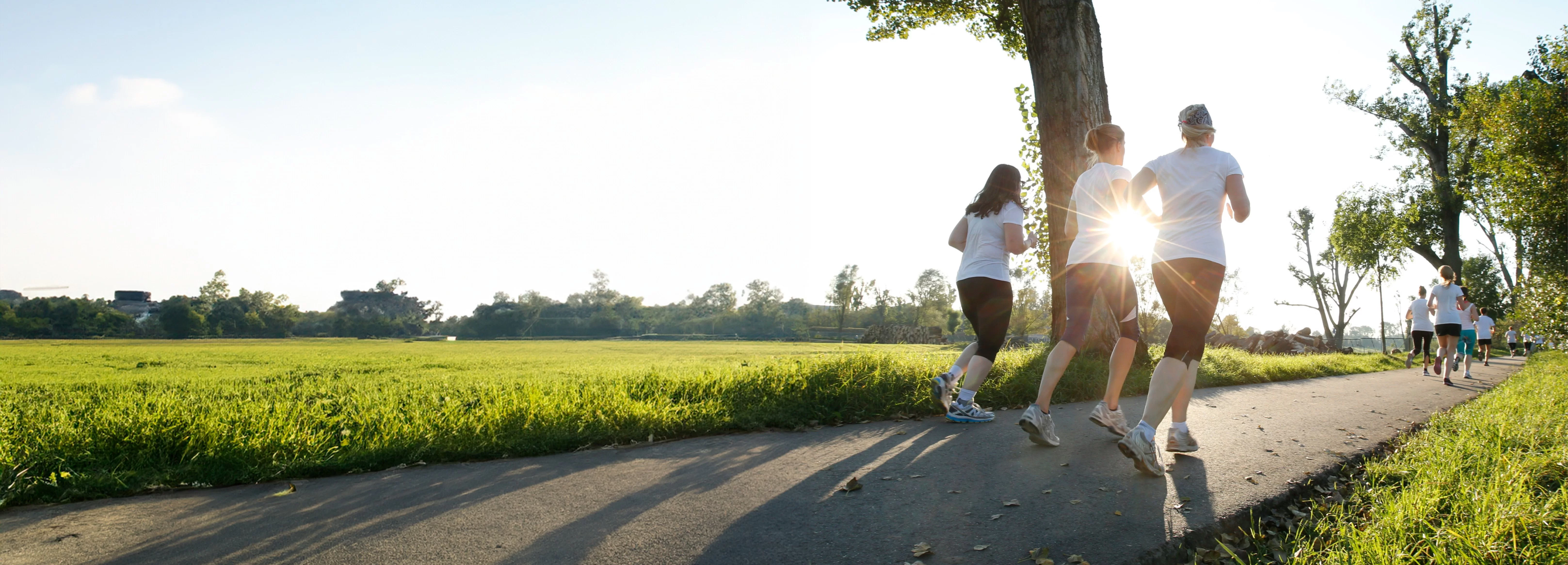 Foto von einer Gruppe von hinten, während sie im Park joggen.