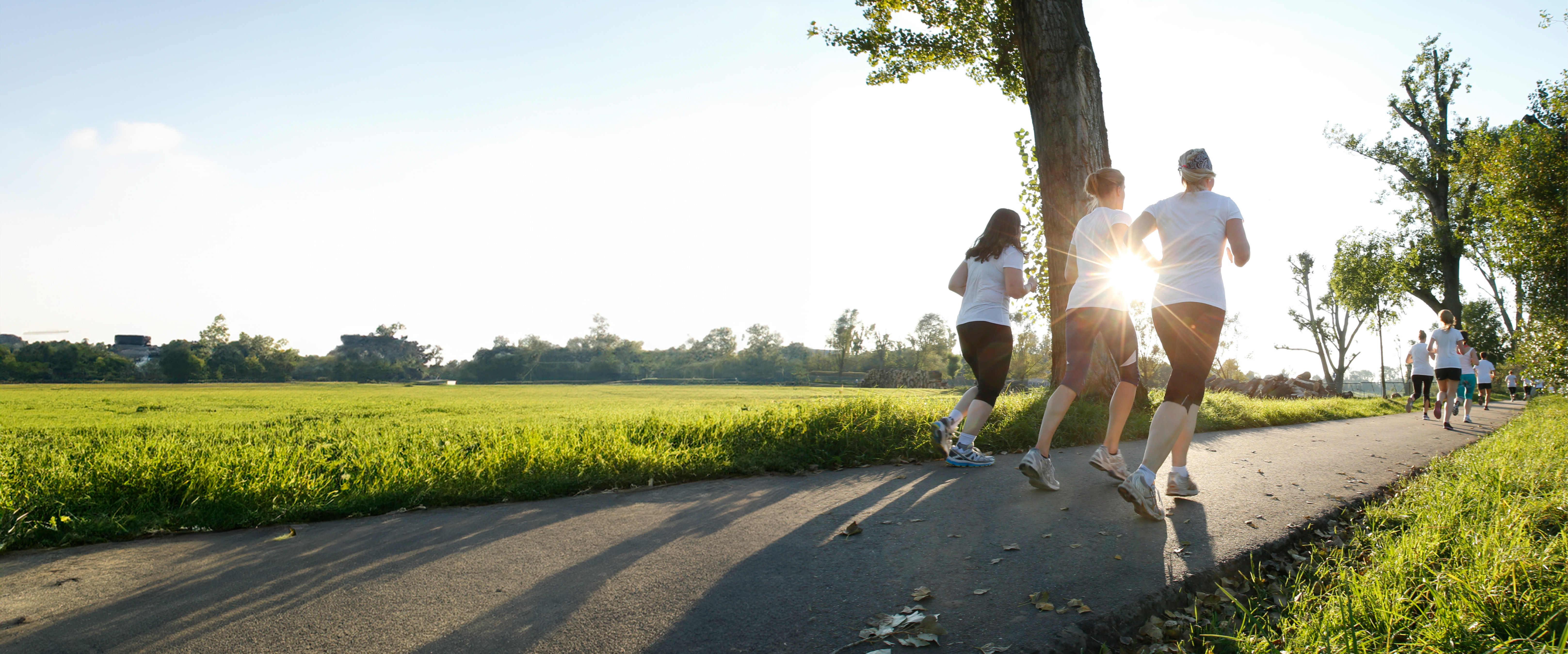 Foto von einer Gruppe von hinten, während sie im Park joggen.